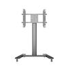 M Public Display Stand 145 HD Single
