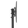 Suporte TV Stand 55P Shelf