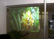 Película Holográfica Stiki Holofront RE50