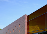 Película Interior Bronze 80C