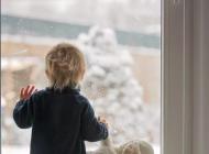 Película isolação térmica Solar 50C