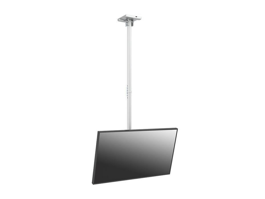 Suporte de teto Pro MBC1U VESA 200