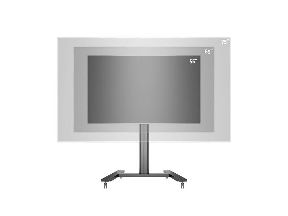 M Public Display Stand 145 HD Single