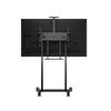 Suporte Motorizado M Floorstand XL 150Kg Black