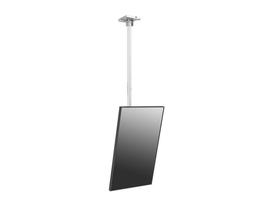 Suporte de teto Pro MBC1U VESA 200