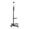 M Public Floorstand Basic 150