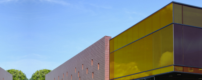 Película Interior Gold 80C