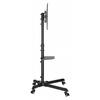 Suporte TV Stand 55P Shelf