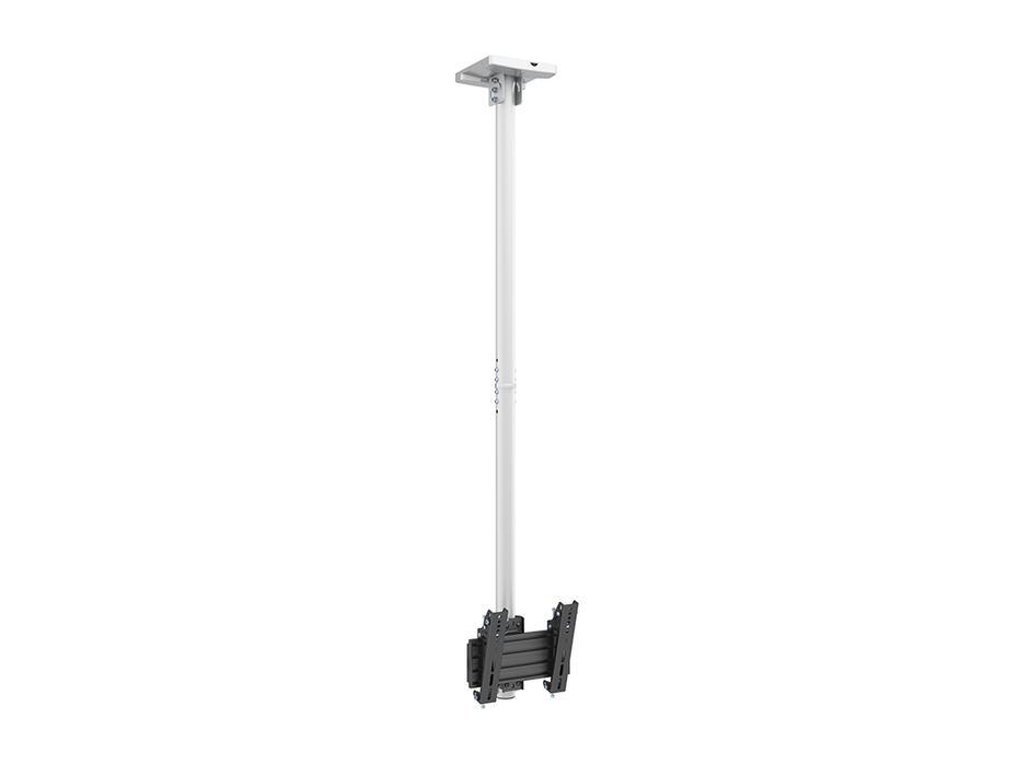 Suporte de teto Pro MBC1U VESA 200