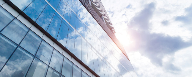   Película Interior multi-ligas Sepctra 33C