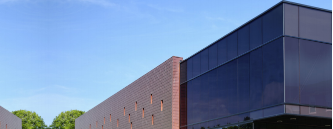 Película Interior Copper 50C