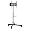 Suporte TV Stand 55P Shelf