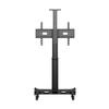 Suporte Motorizado M Public Floorstand Single Pillar 170 HD