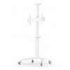  Suporte TV Stand 70VCP Shelf 