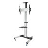 Suporte de Chão para TV 37-70 FS1870M-B