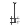 Suporte de Teto para Ecrãs de 32-75 LPCE1175TSLI-B