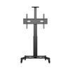 Suporte Motorizado M Public Floorstand Single Pillar 170 HD