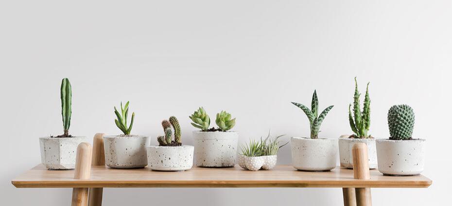  Vinil Design de interiores N3 Eggshell Velvet Grain