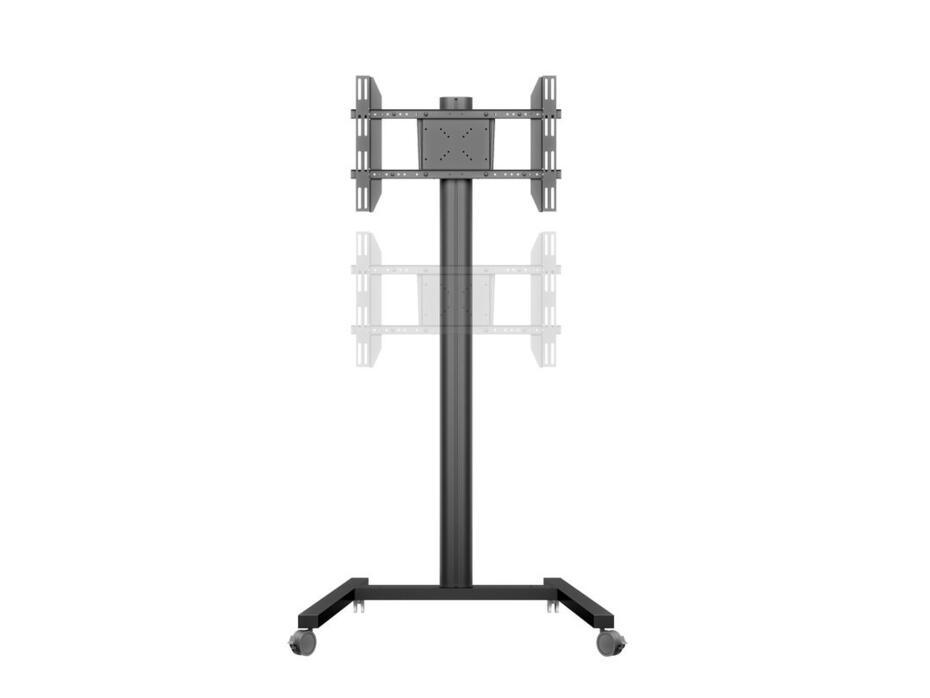 M Display 180 Single