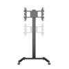 M Display 180 Single