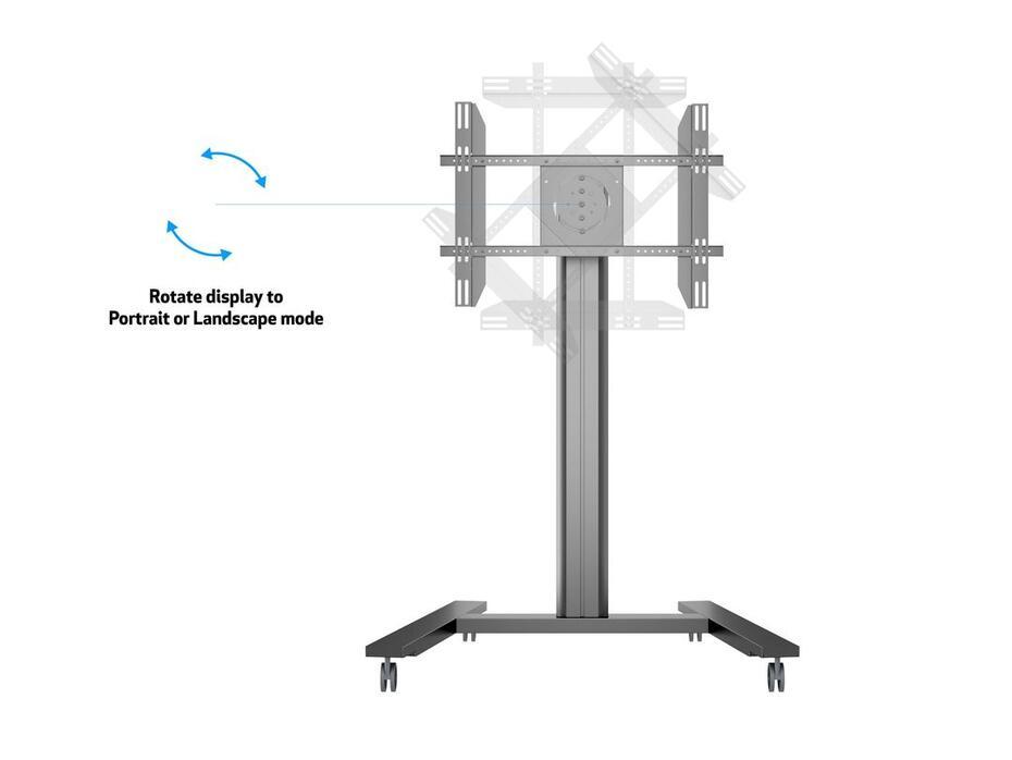 M Public Display Stand 145 HD Single