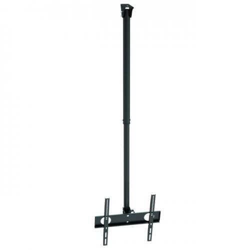 Suporte TV Pallas L