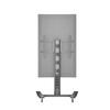 M Public Display Stand 145 HD Single