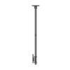 Suporte de teto Pro MBC2X1U VESA 200