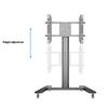 M Public Display Stand 145 HD Single