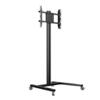 M Display 180 Single