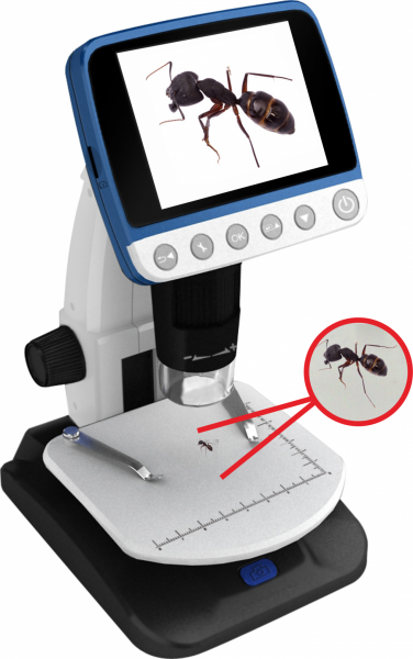 Digitalizador Digimicroscope Professional