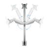 Suporte de Mesa para Ecrãs de 13-32 DB3032TNR-S