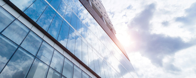 Película Exterior Nickel 80 XC