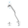Suporte de Mesa para Ecrãs de 17-32 DB4032TNR-W